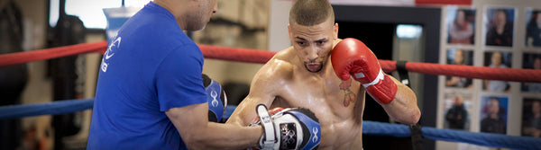 BODY SHIELDS & KICK PADS