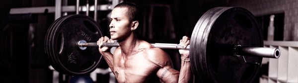 WEIGHT TRAINING BELTS