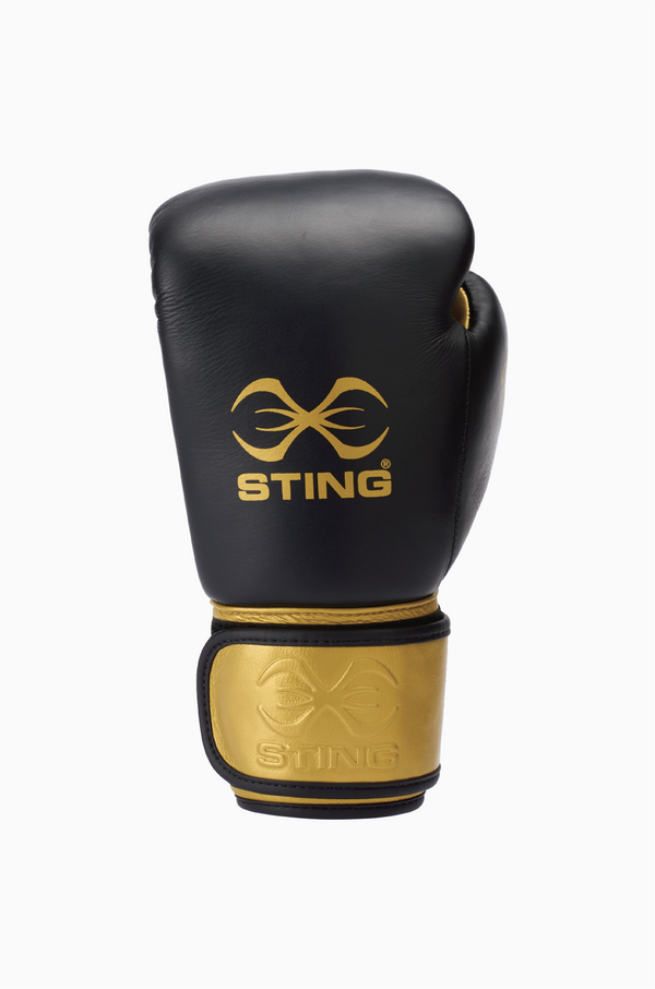 Evolution Boxing Glove